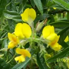 Business 6 image PRP WINDOW Windows in Worthing We