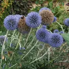 Business 7 image PRP WINDOW Windows in Worthing We