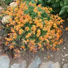 Business 8 image PRP WINDOW Windows in Worthing We