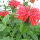 Business 9 image PRP WINDOW Windows in Worthing We