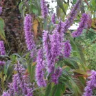 Business 10 image PRP WINDOW Windows in Worthing We