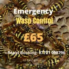 Business 1 image R D R PEST CONTROL SERVICES Pest & Animal Control in Newcastle Upon Tyne Ty