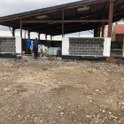 Business 46 image RICHARD LAMB PLASTERING LTD Plasterers, Screeders & Dry Lining Contractors in Chester Le Street Co