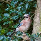 Business 3 image ROB COLE PHOTOGRAPHY Wedding Services in Birtley Co