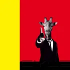 Business 1 image RYAN CORNELIUS DESIGN Web Design in Nottingham No