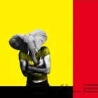 Business 2 image RYAN CORNELIUS DESIGN Web Design in Nottingham No