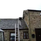 Business 9 image SAKS HAIR & BEAUTY Hairdressers in Liverpool Me