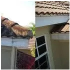 Business 2 image SANTANDER Banks & Financial Institutions in Brighton Ea