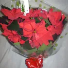 Business 1 image SANTANDER Banks & Financial Institutions in Plymouth De