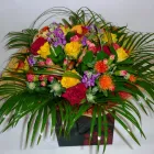 Business 2 image SANTANDER Banks & Financial Institutions in Plymouth De