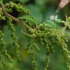 Business 2 image SCHOOL OF THE WILD Training Services in Brighton Ea