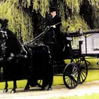 Business 1 image SCS LANDSCAPING Garden Services in Leeds We