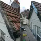 Business 4 image SEEDHOUSE DECORATORS Painters & Decorators in Brighton Ea