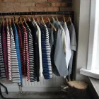 Business 1 image SERIOUS OUTDOOR SKILLS Outdoor Pursuits in Plymouth De