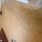 Business 1 image SERVICEMASTER CLEAN NORTHAMPTON Upholstery Cleaners in Northampton No