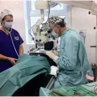 Business 2 image SHIRLEY STREET DAY NURSERY Day Nurseries in Hove Ea