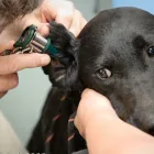 Business 3 image SHIRLEY STREET DAY NURSERY Day Nurseries in Hove Ea