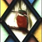 Business 11 image SHOEMARKET LTD Shoe Shops in Bootle Me