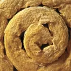 Business 17 image SILENTWORLD LTD Marketing & Advertising Consultants in Brighton Ea