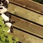 Business 3 image SILENTWORLD LTD Marketing & Advertising Consultants in Brighton Ea