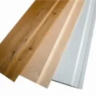 Business 5 image SILENTWORLD LTD Marketing & Advertising Consultants in Brighton Ea