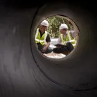 Business 12 image SIMPLEDUCKS LTD Training Services in London Gr