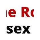 Business 10 image SKYLINE ROOFING SUSSEX LTD Roofing Materials in Shoreham-By-Sea We