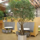 Business 10 image SLOUGH ASPIRE Venues in Slough Be