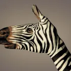 Business 1 image SMITHALEIGH CARAVAN & CAMPING PARK Caravan Parks in Plymouth De