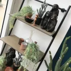 Business 57 image SOFOLOGY SPEKE LIVERPOOL Home & Garden in Liverpool Me