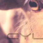 Business 10 image SOME THING VISUAL PHOTOGRAPHY Wedding Services in Newcastle Upon Tyne Ty