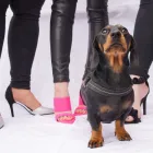 Business 1 image SOPHISTIKAT Shopping & Retail in London Gr