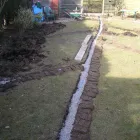 Business 1 image SOUTH WEST PESTS Pest & Vermin Control Services in Plymouth De