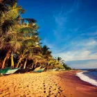 Business 4 image STA TRAVEL Travel Agents in Cambridge Ca