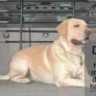 Business 1 image SUBWAY Takeaway Food in Brighton Ea