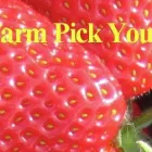 Business 1 image SUBWAY Takeaway Food in Leeds We