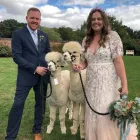 Business 12 image SUE'S SEWING Tailors in London Gr