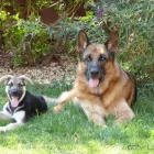 Business 1 image SUE WILLS Visual Arts in Plymouth De