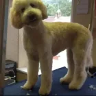 Business 1 image SUITORS OF NORTHAMPTON & BUCKINGHAM Men's Clothes Hire in Northampton No