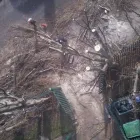 Business 5 image SUPERDRUG STORES PLC Pharmacies in Northampton No