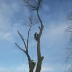 Business 1 image SUPERDRUG STORES PLC Pharmacies in Northampton No