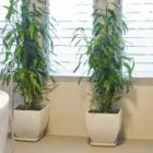 Business 23 image SURFACE REPAIR COURSES Training Centres & Courses in Croydon Gr