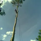 Business 3 image SURREY & SUSSEX PROBATION TRUST Probation Offices in Lewes Ea