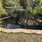 Business 6 image SUSSEX PONDS Ponds & Water Gardens Services in Worthing We