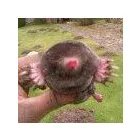 Business 2 image SUSSEX PROPERTY MAINTENANCE Kitchen Planning & Installation in Worthing We