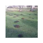 Business 3 image SUSSEX PROPERTY MAINTENANCE Kitchen Planning & Installation in Worthing We