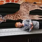 Business 1 image TESCO EXTRA Supermarkets in Northampton No