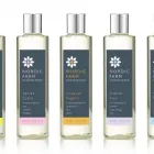 Business 1 image THE BRAND MILL Web Design in Plymouth De