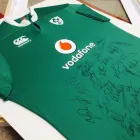 Business 22 image THE HALLOWS GALLERY & FRAMING Visual Arts in Belfast Co