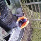 Business 4 image THE LEVI'S STORE Men's Clothes Shops in Belfast Co